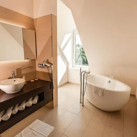 Diedrich Wellnesshotel & - Adults Only 4* ハレンベルク